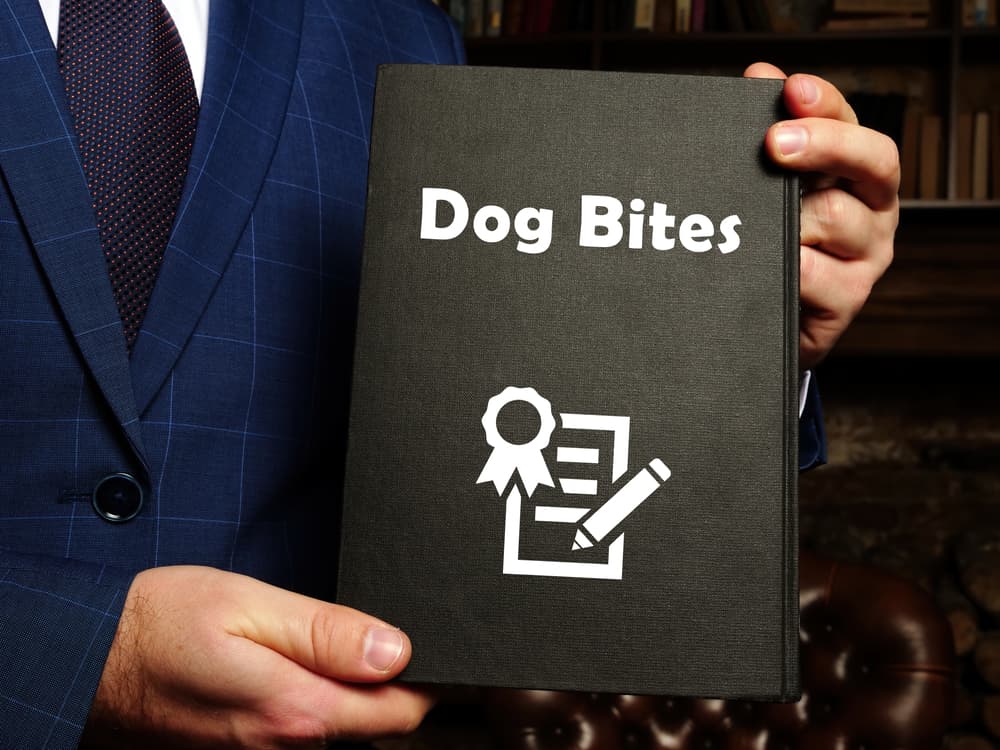 The One Bite Law Explained