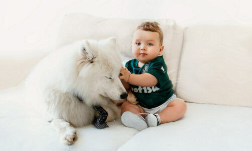 dog next to toddler on couch