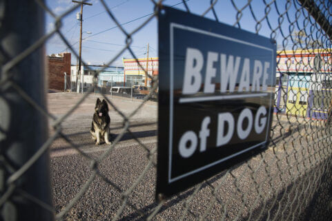 Liability Insurance for Dogs